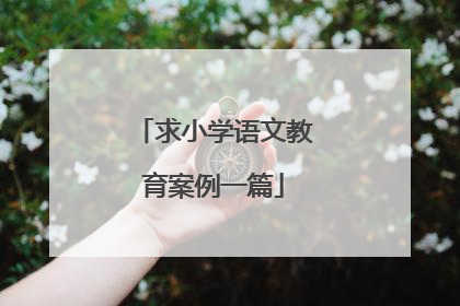 求小学语文教育案例一篇