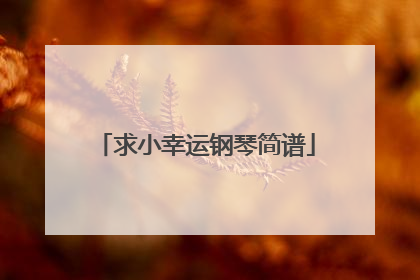 求小幸运钢琴简谱