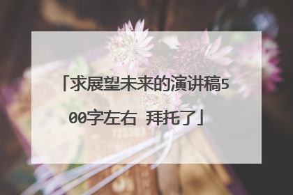 求展望未来的演讲稿500字左右 拜托了