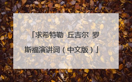 求希特勒 丘吉尔 罗斯福演讲词(中文版)