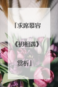 求席慕容《初相遇》赏析