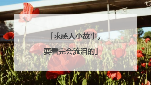 求感人小故事,要看完会流泪的