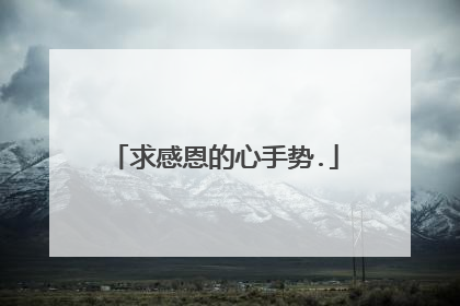 求感恩的心手势.