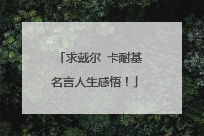 求戴尔 卡耐基名言人生感悟!
