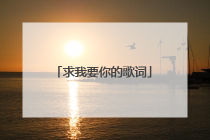 求我要你的歌词