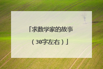 求数学家的故事（30字左右）