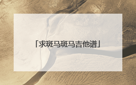 求斑马斑马吉他谱