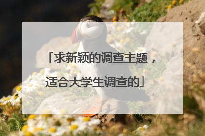 求新颖的调查主题，适合大学生调查的