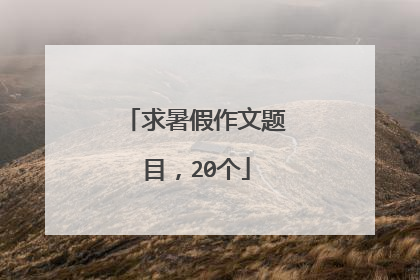 求暑假作文题目，20个