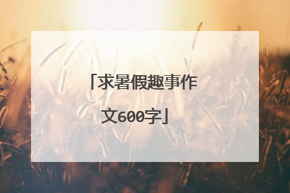 求暑假趣事作文600字