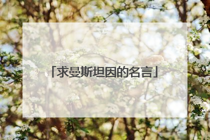 求曼斯坦因的名言