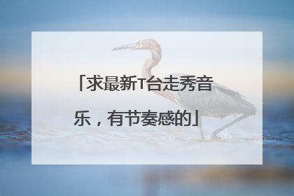 求最新T台走秀音乐,有节奏感的
