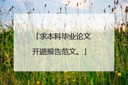 求本科毕业论文开题报告范文。