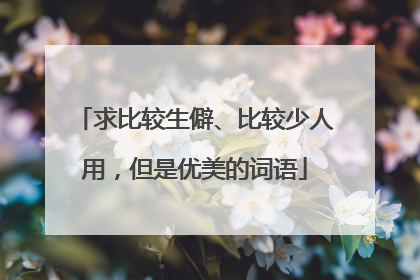 求比较生僻、比较少人用，但是优美的词语