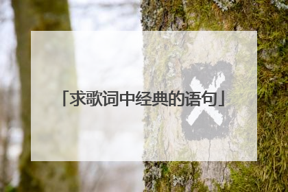 求歌词中经典的语句