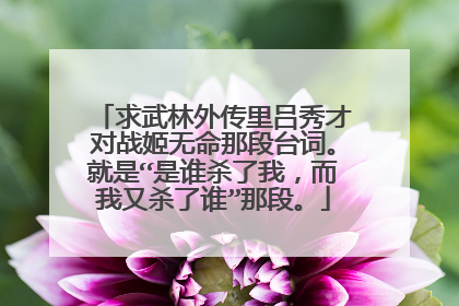 求武林外传里吕秀才对战姬无命那段台词。就是“是谁杀了我,而我又杀了谁”那段。