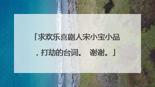 求欢乐喜剧人宋小宝小品,打劫的台词。 谢谢。