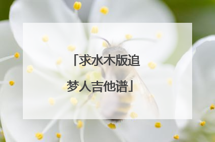 求水木版追梦人吉他谱