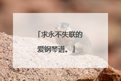 求永不失联的爱钢琴谱。