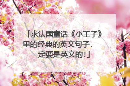 求法国童话《小王子》里的经典的英文句子. 一定要是英文的!