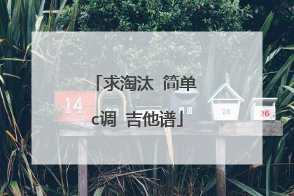 求淘汰 简单c调 吉他谱