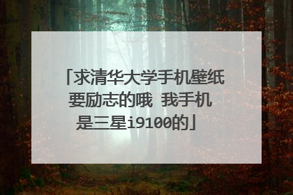 求清华大学手机壁纸 要励志的哦 我手机是三星i9100的