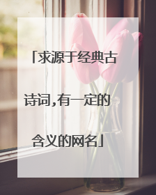 求源于经典古诗词,有一定的含义的网名
