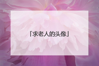 求老人的头像