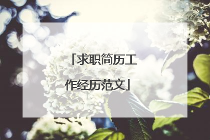 求职简历工作经历范文