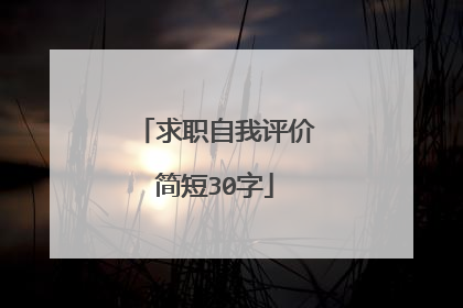 求职自我评价简短30字