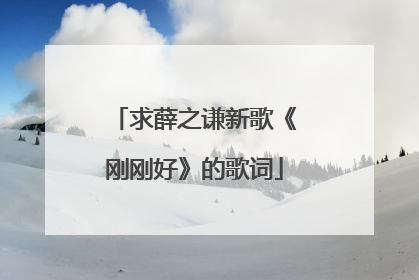 求薛之谦新歌《刚刚好》的歌词