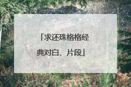 求还珠格格经典对白、片段