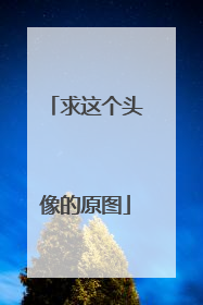 求这个头像的原图