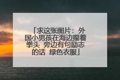 求这张图片: 外国小男孩在海边攥着拳头 旁边有句励志的话 绿色衣服
