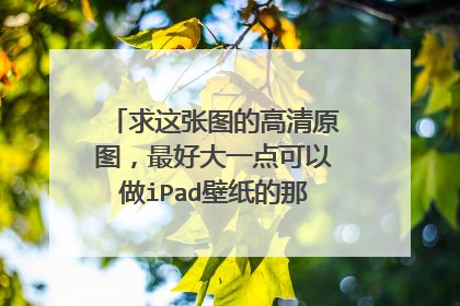 求这张图的高清原图,最好大一点可以做iPad壁纸的那种,谢谢拉,在这里祝大家新年快乐