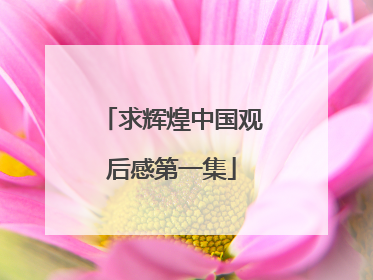 求辉煌中国观后感第一集