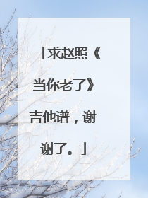 求赵照《当你老了》吉他谱，谢谢了。