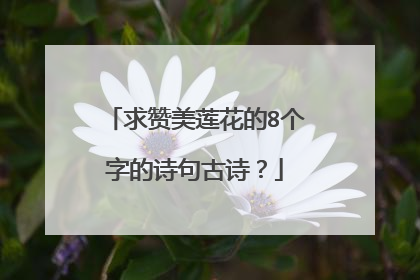 求赞美莲花的8个字的诗句古诗？