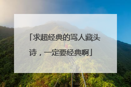 求超经典的骂人藏头诗，一定要经典啊