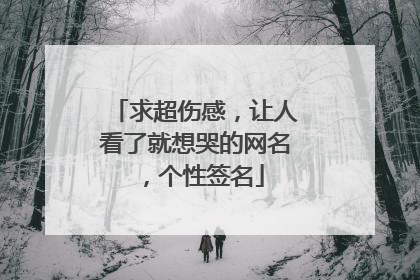 求超伤感,让人看了就想哭的网名,个性签名