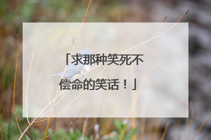 求那种笑死不偿命的笑话!