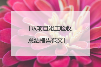 求项目竣工验收总结报告范文