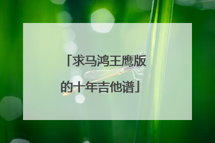 求马鸿王鹰版的十年吉他谱