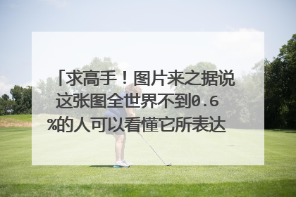 求高手!图片来之据说这张图全世界不到0.6%的人可以看懂它所表达的意思,据说看懂的还全是善于右脑思考的