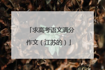求高考语文满分作文（江苏的）