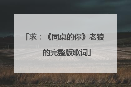 求:《同桌的你》老狼 的完整版歌词