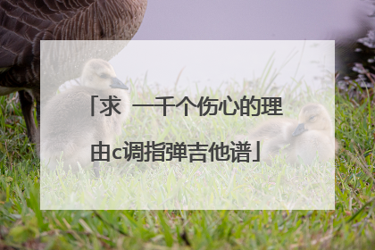 求 一千个伤心的理由c调指弹吉他谱