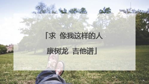 求 像我这样的人 康树龙 吉他谱