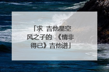 求 吉他星空 风之子的 《情非得已》吉他谱