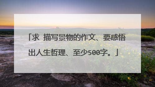 求 描写景物的作文、要感悟出人生哲理、至少500字。